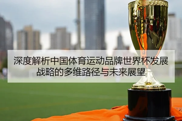 深度解析中国体育运动品牌世界杯发展战略的多维路径与未来展望
